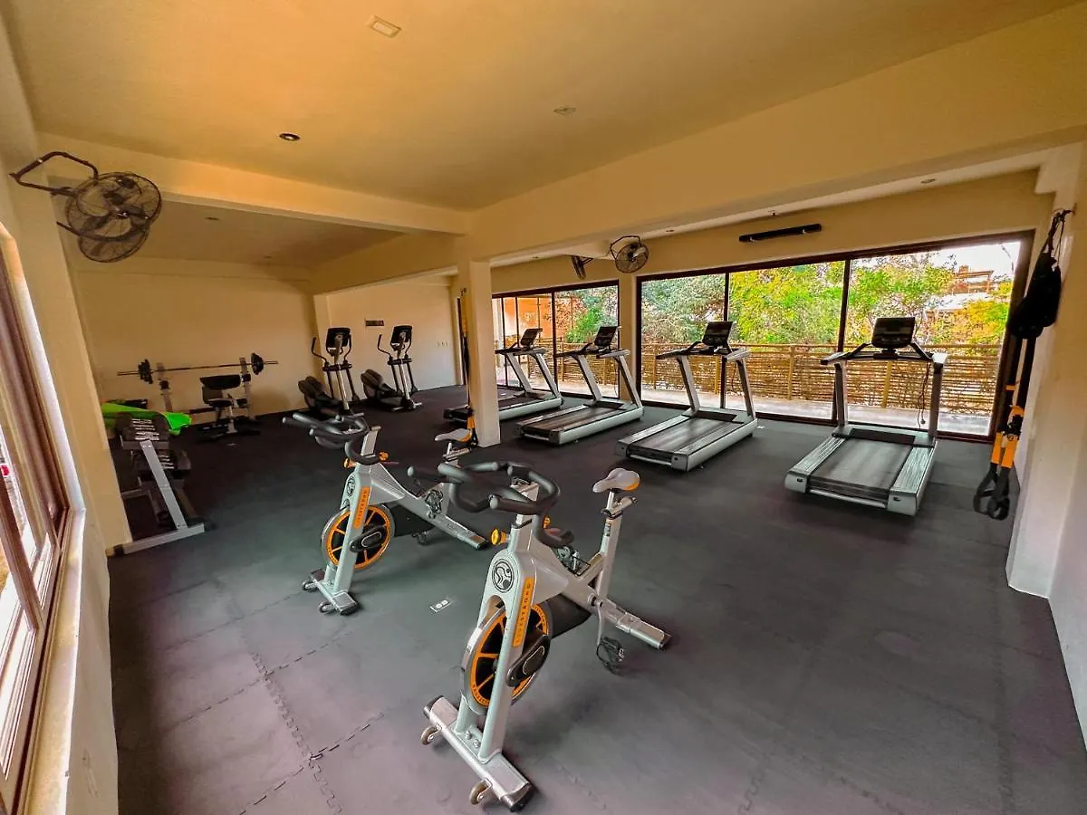 Apartamento Penthouse Con Jacuzzi Privado, Cenotes, Piscinas, Gym Y Mas Tulum 0*,